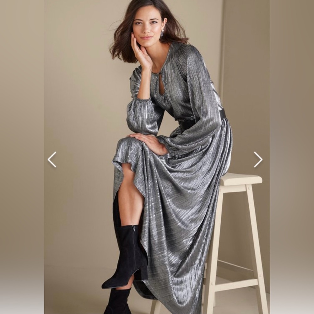 NWT Soft Surroundings Annabelle Silver Micro Pleated Dress Small 6-8